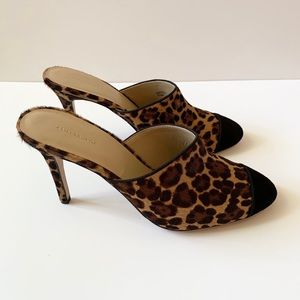 Ann Taylor Haircalf Mules Size 8.5 NWT